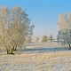 Зимний пейзаж